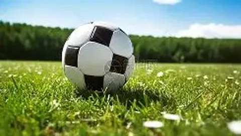 科比-怀特率公牛137-118大胜猛龙，斩获28分3助6板